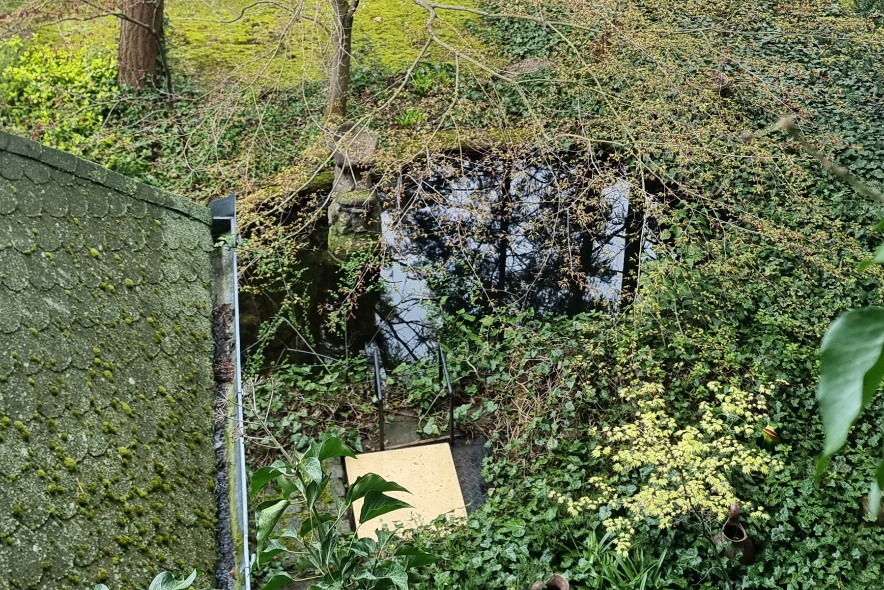 20230418_170949.jpg